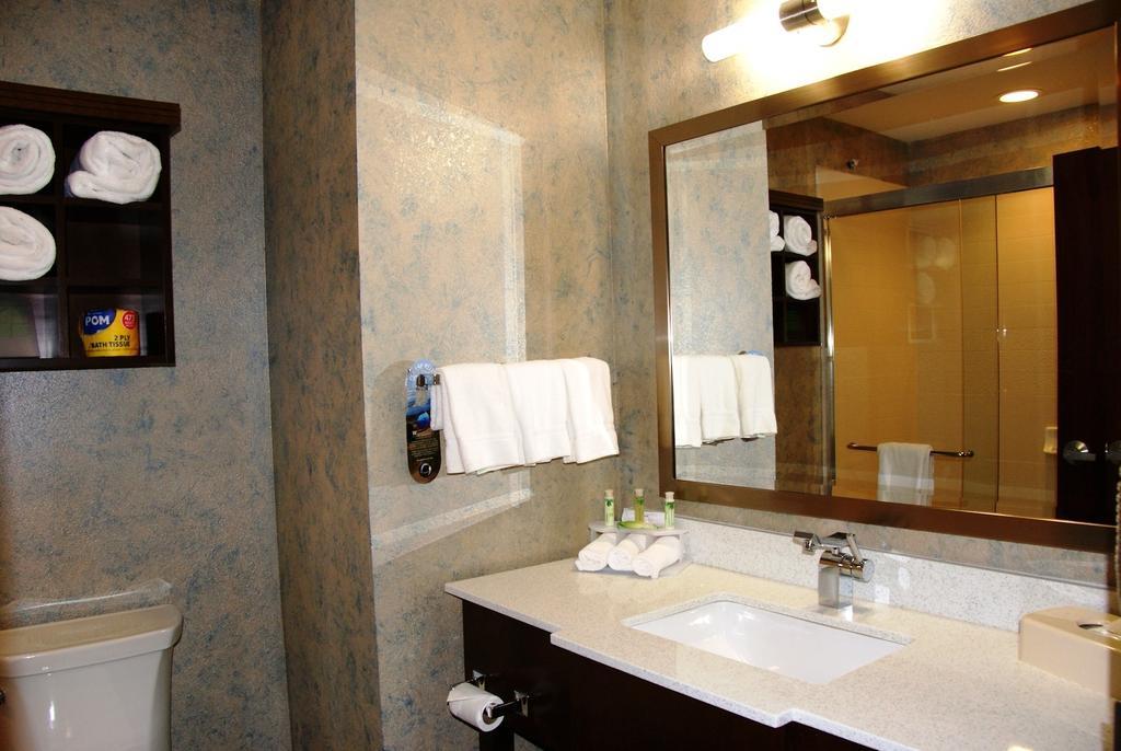 Holiday Inn Express & Suites St Louis Airport By Ihg Woodson Terrace Oda fotoğraf